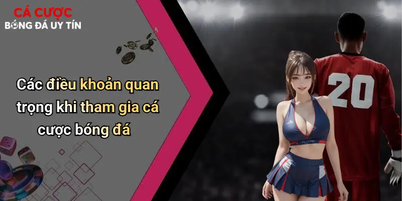 Các điều khoản quan trọng khi tham gia cá cược bóng đá