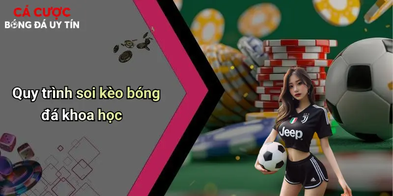 Quy trình soi kèo bóng đá khoa học