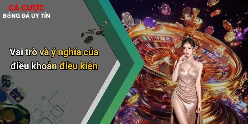 Vai trò và ý nghĩa của điều khoản điều kiện