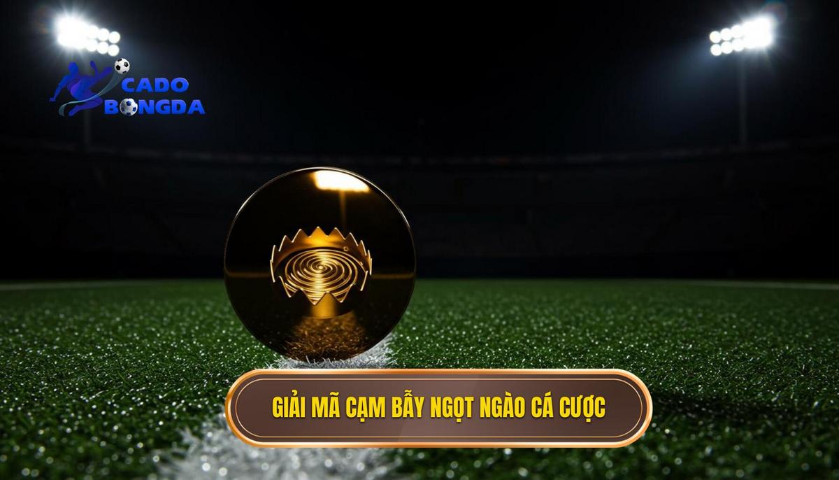Phần 1_ Giải Mã Bản Chất Của Cạm Bẫy Ngọt Ngào Trong Cá Cược
