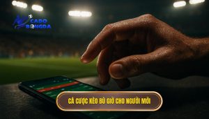 Cá cược kèo bù giờ cho người mới