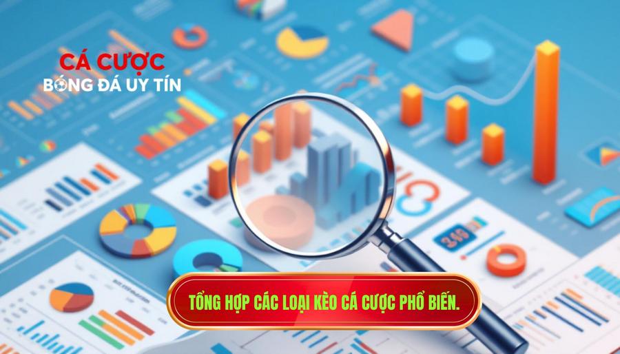 3. Tổng hợp các loại kèo cá cược phổ biến.