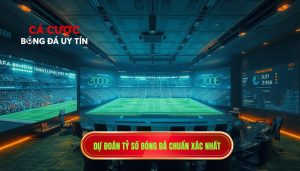 Dự đoán tỷ số bóng đá chuẩn xác nhất