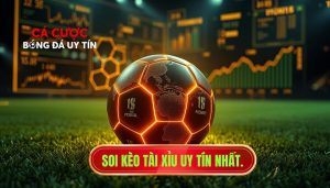 Soi kèo tài xỉu uy tín nhất.